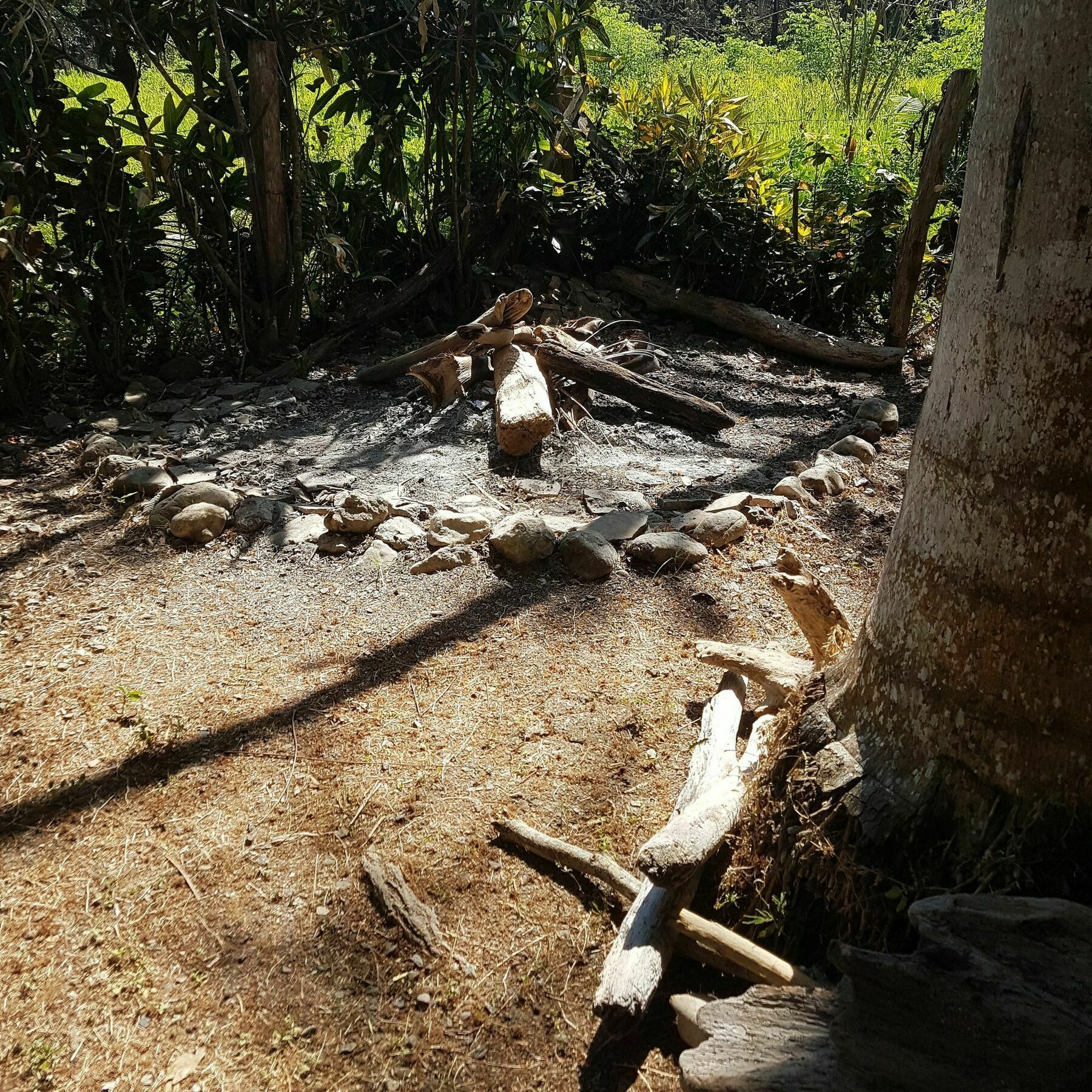 Pura Vida House Cabo Blanco Villa Nicoya Bagian luar foto